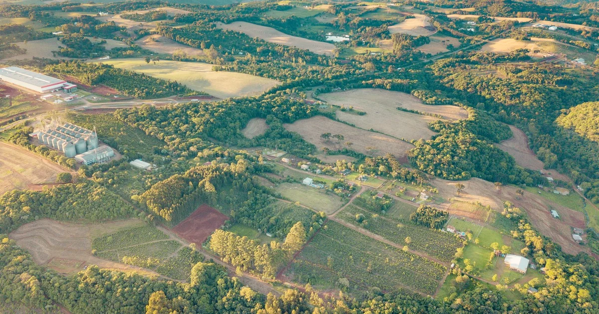 Como a Tecnologia Verde Está Transformando a Agricultura Sustentável no Brasil