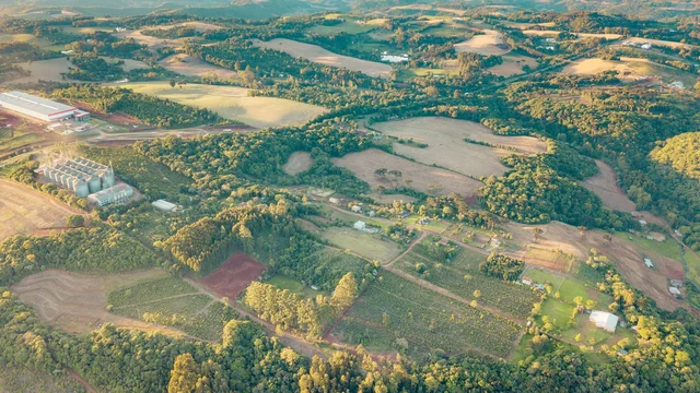 Como a Tecnologia Verde Está Transformando a Agricultura Sustentável no Brasil